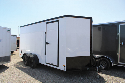 DARKHORSE BLACKOUT EDITION for sale in Milan, MI