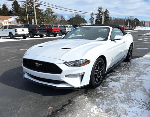 2022 FORD MUSTANG for sale in Hemlock, MI