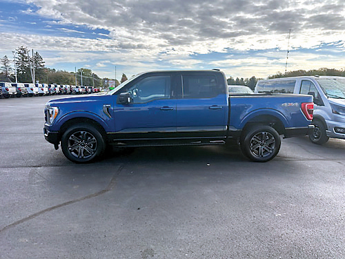2023 FORD F-150 for sale in Hemlock, MI
