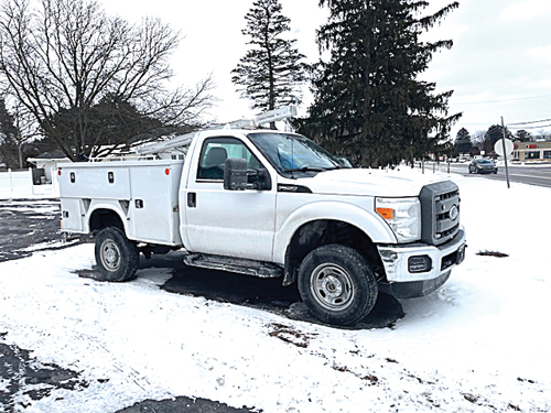 2015 FORD F-250 for sale in Hemlock, MI