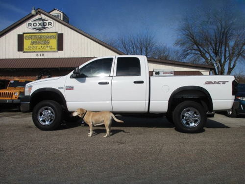 2009 DODGE RAM for sale in South Haven, MI