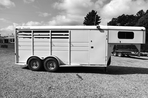 2003 CM 3-HORSE SLANT LOAD GN for sale in Elnora, IN