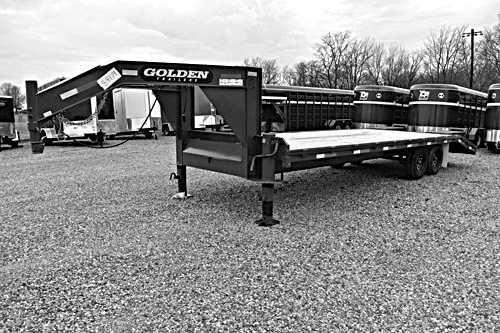 2026 GOLDEN 20+5 for sale in Elnora, IN