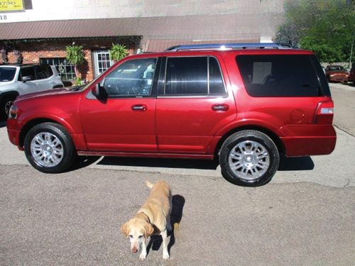 2013 FORD EXPEDITION for sale in South Haven, MI
