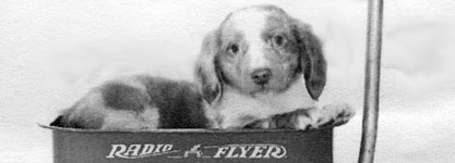 MINIATURE DACHSHUND PUPPIES for sale in Argos, IN