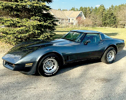 1982 CHEVROLET CORVETTE for sale in Sheridan, MI