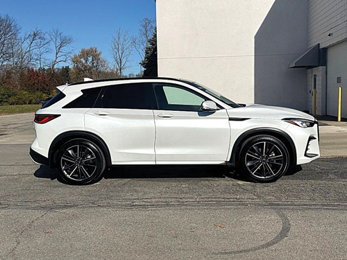 2024 INFINITI QX50 for sale in Indianapolis, IN