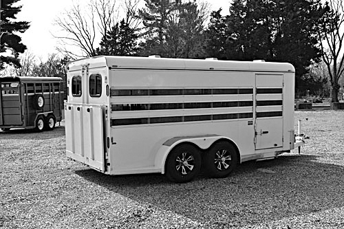 2020 JACKSON 6-PEN TRAILER for sale in Elnora, IN