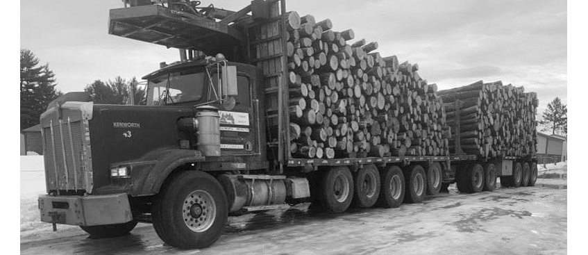 FIREWOOD LOGS SEMI LOAD for sale in Midland, MI