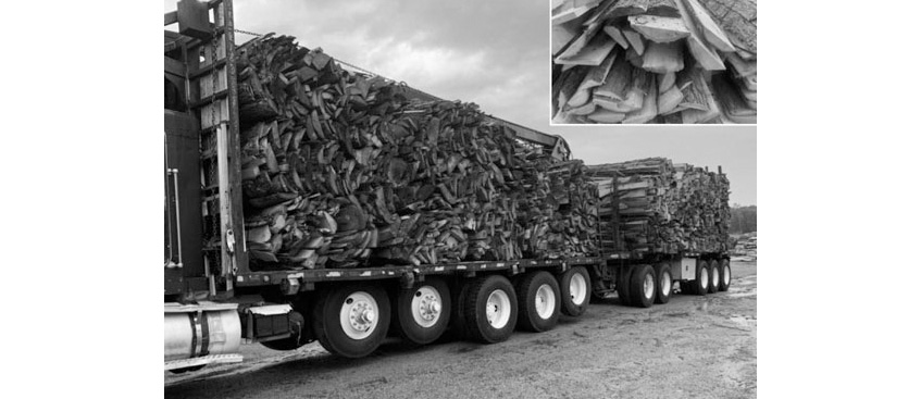 FIREWOOD SLAB SEMI LOAD for sale in Midland, MI