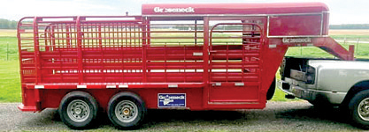 2021 GOOSENECK CATTLE TRAILER for sale in Francesville, IN