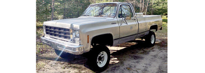 1978 CHEVROLET SILVERADO for sale in McBain, MI