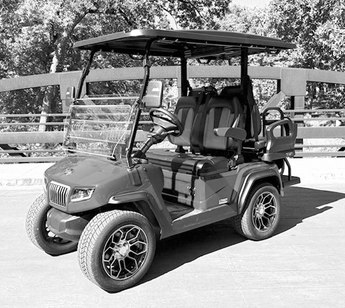EVOLUTION LITHIUM CART for sale in Elnora, IN