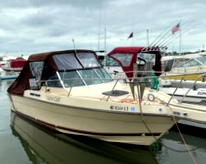 1985 HARBOR CRAFT RAMPAGE for sale in Granger, IN